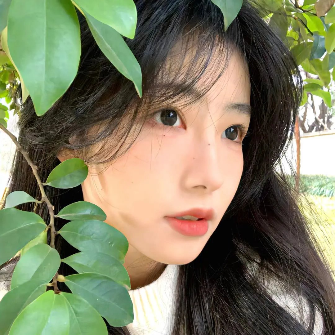 克利夫的一切