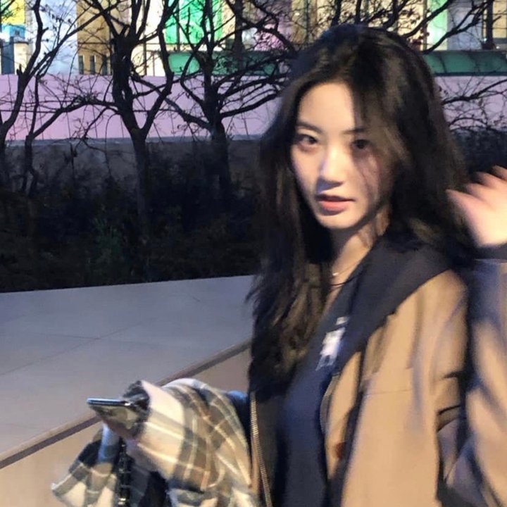 艳探莉莉